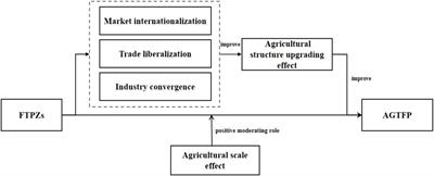 How free trade pilot zones enhance agricultural green total factor productivity? Theory and evidence from China